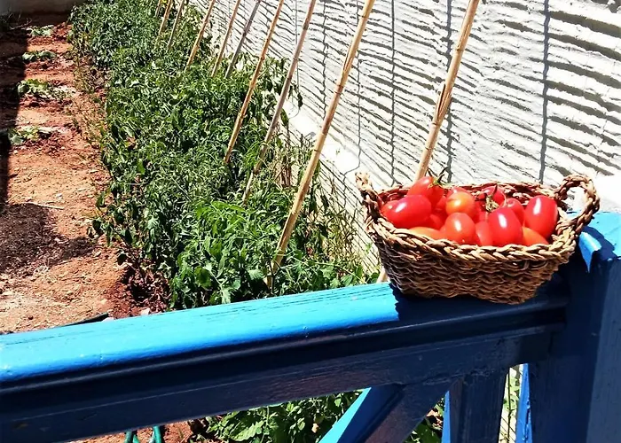 Apartmanhotel Allegria Family